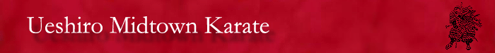 Traditional Shorin-Ryu Karate Instruction in Midtown Manhattan