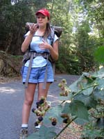 Wild blackberries - backup food source 