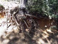 Signs of erosion along road