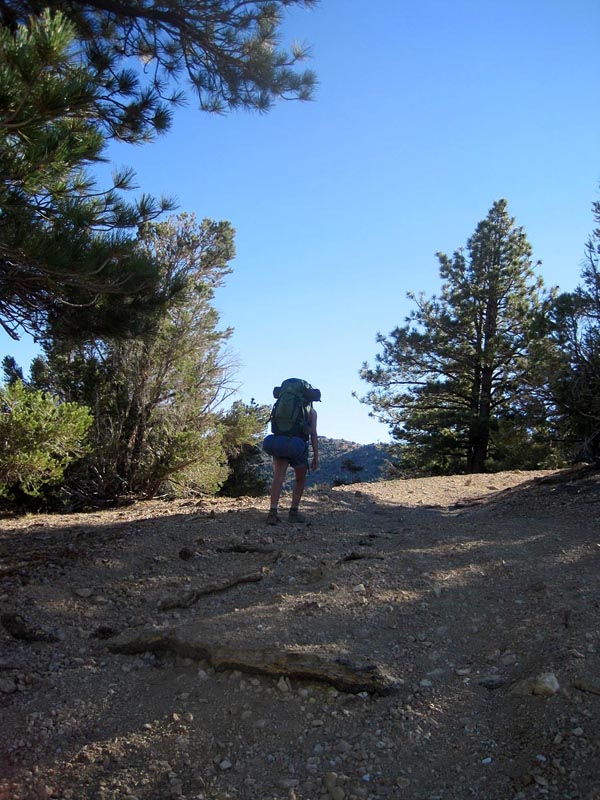 WalkAbout0477