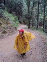 Plumbago Rd. in Nevada County